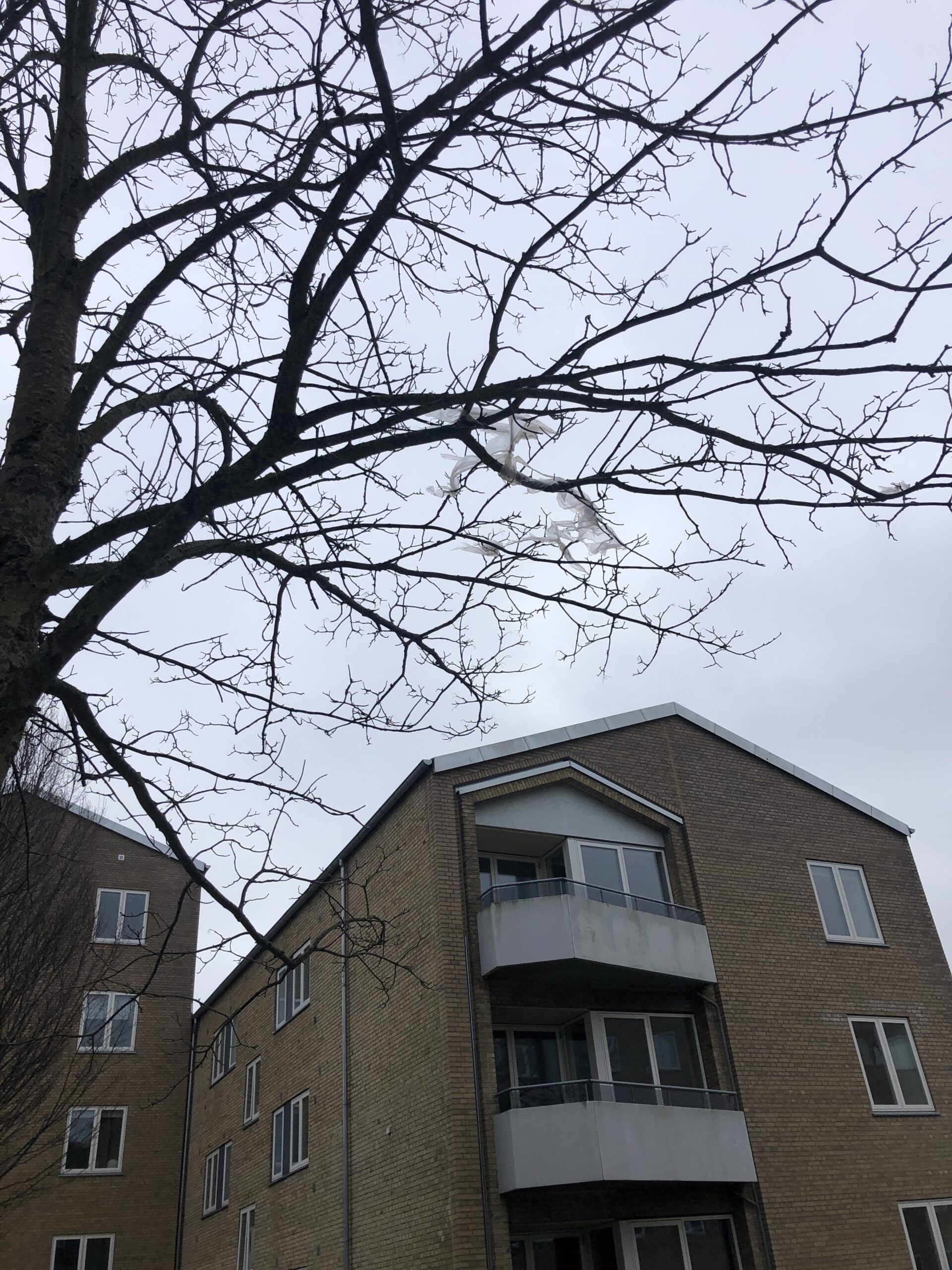 Kridthøjparken afd. 23